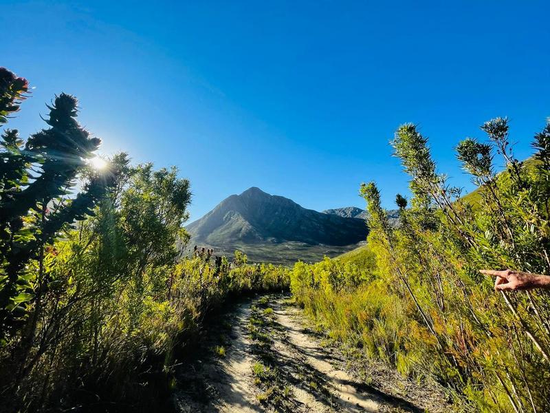 0 Bedroom Property for Sale in Tsitsikamma Eastern Cape